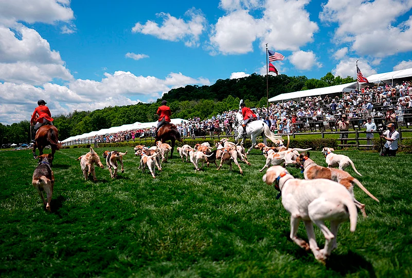 Iroquois Steeplechase 2026
