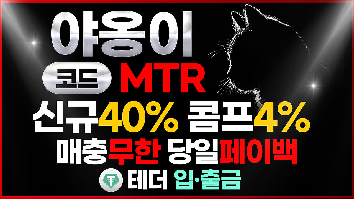 야옹이 메이저사이트 빠른 출금 지원 – 실시간 콤프 시스템 운영