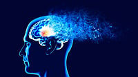 Eli Lilly To Soon Roll Out Alzheimer’s Therapy Lormalzi In India Eli Lilly To Soon Roll Out Alzheimer’s Therapy Lormalzi In India