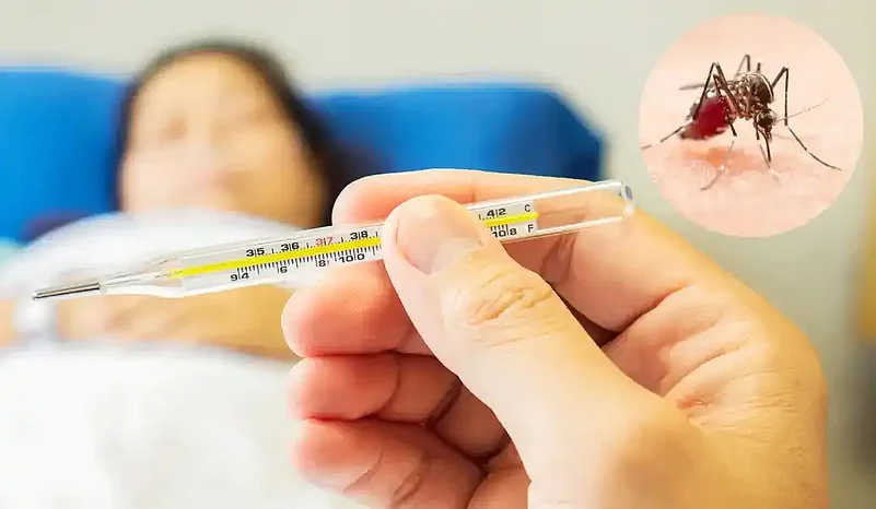 A person checking the reading on a thermometer