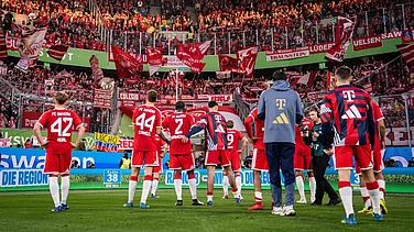 FCBayernEN/X