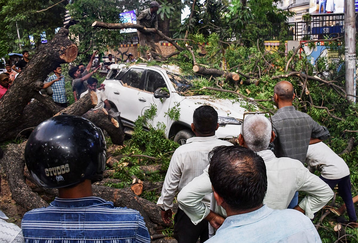 People gather after a tree fell over a car after a dust storm, in Prayagraj, Uttar Pradesh, Wednesday, May 13, 2026. - Amar Deep Sharma