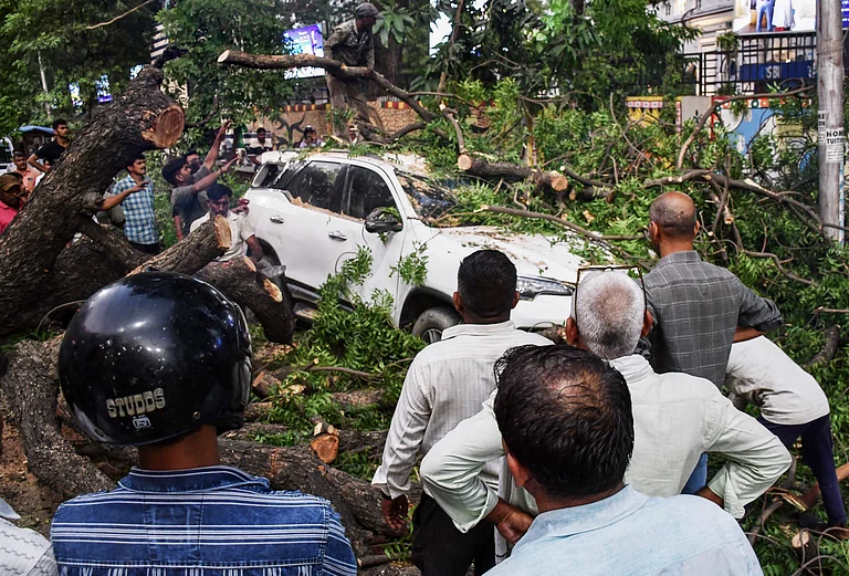 People gather after a tree fell over a car after a dust storm, in Prayagraj, Uttar Pradesh, Wednesday, May 13, 2026. - Amar Deep Sharma