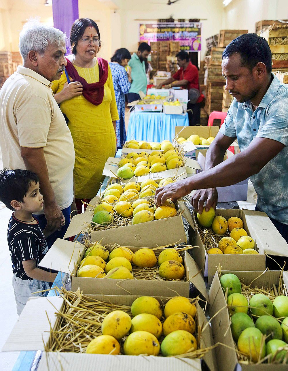 Mango exhibition and sale in Bhopal