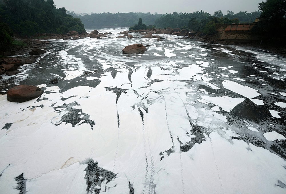 Brazil Polluted River