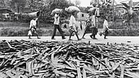 Rwandan Genocide Suspect Félicien Kabuga Dies In Custody In The Hague at Age 91 Rwandan Genocide