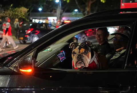 A dog wearing an Arsenal shirt arrives with it's owner at the Arsenal stadium after Arsenal's soccer team won the Premier League title in London.