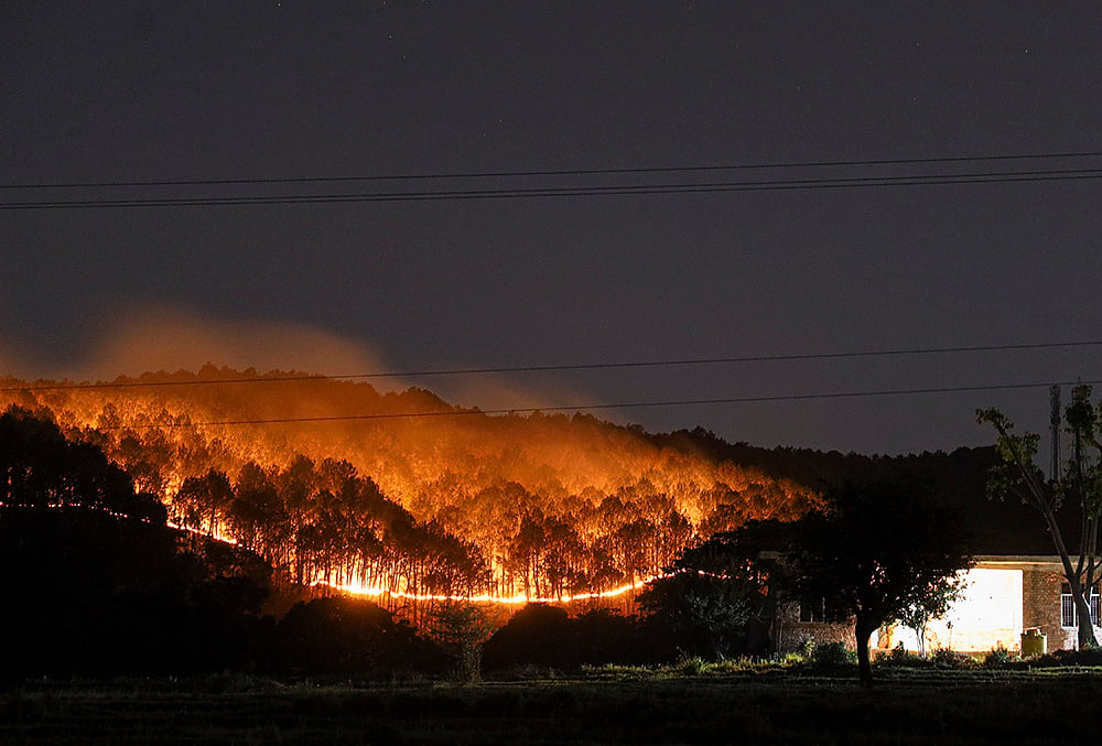 Forest fire in HPs Kangra