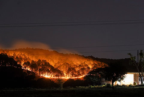 A fire engulfs a forest area, in Kangra district, Himachal Pradesh.