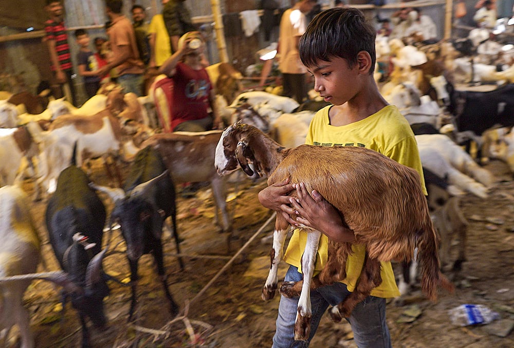 Preps ahead of Bakra Eid festival