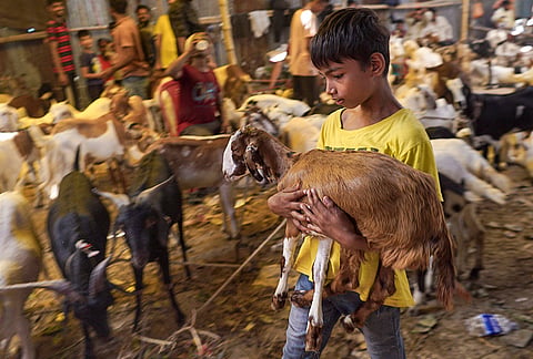A young boy after purchasing a goat at a livestock market ahead of Bakra Eid(Eid al-Adha) festival, in Varanasi, Uttar Pradesh.