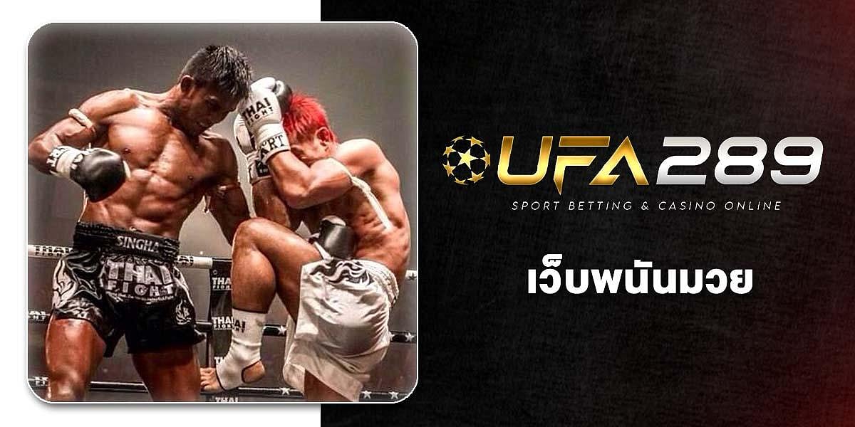 UFA289 Boxing website