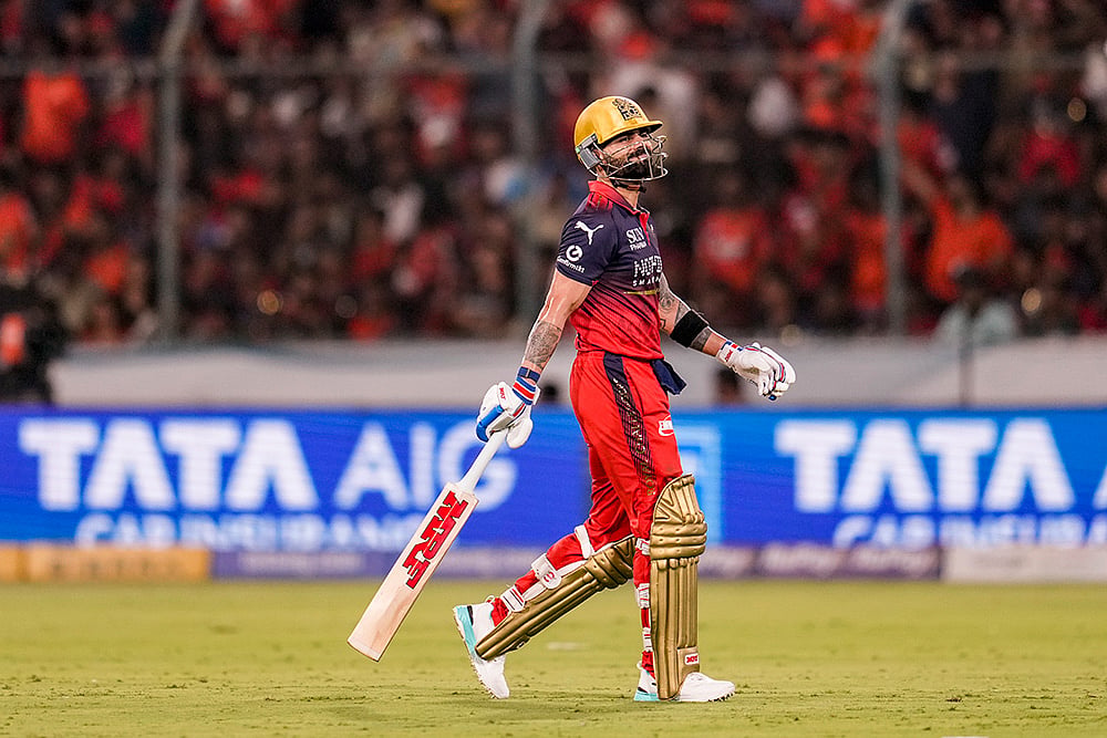 SRH vs RCB IPL Virat Kohli