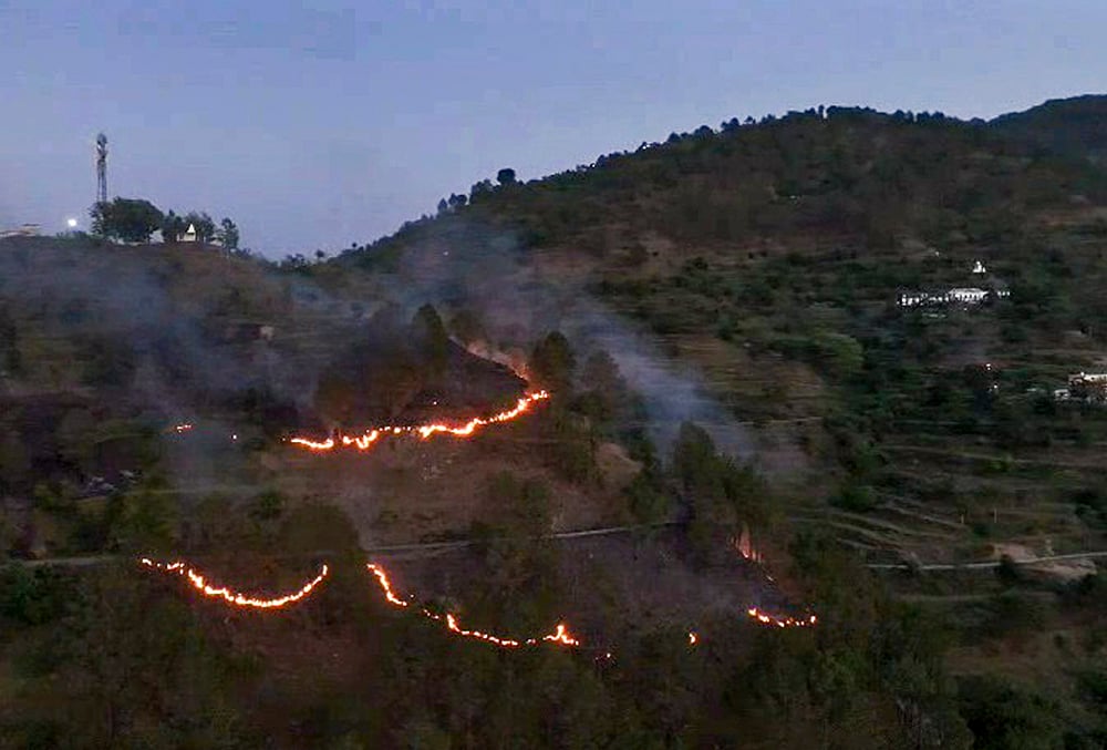 Forest fire in Almora