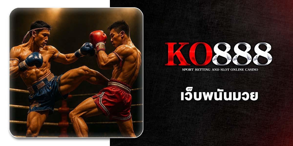 KO888 Boxing website