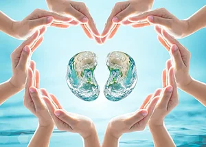Beyond Lungs And Heart, Pollution Threatens Kidneys Too