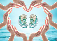 Beyond Lungs And Heart, Pollution Threatens Kidneys Too Beyond Lungs And Heart, Pollution Threatens Kidneys Too