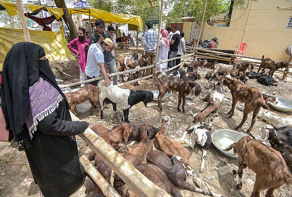 Preps ahead Eid al-Adha