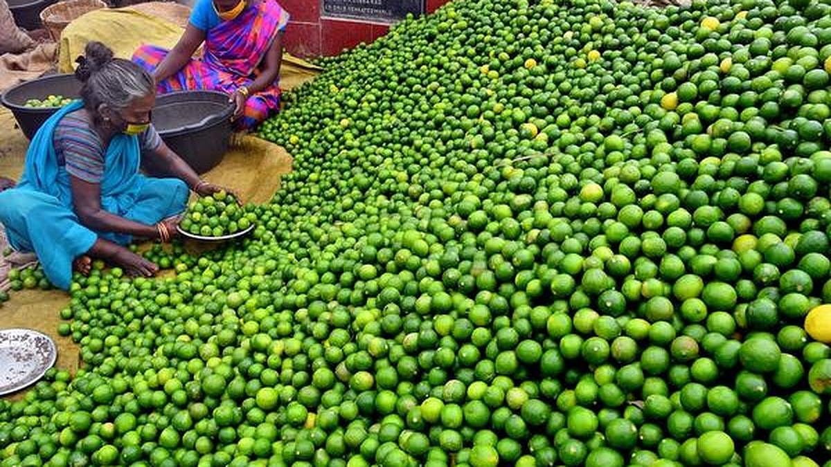 Ananthapuramu Lemon’ From Anantapur District - null