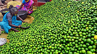 Ananthapuramu Lemon’ From Anantapur District