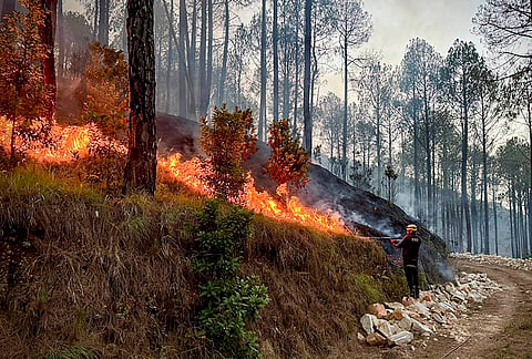 A firefighter attempts to contain a forest fire during a dousing operation, in Bageshwar district, Uttarakhand.