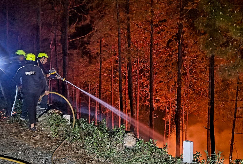 Almora: Firefighters attempt to douse forest fire