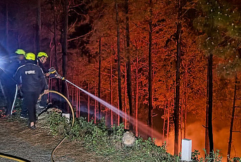 Firefighters attempt to douse a forest fire during an operation, in Almora district, Uttarakhand.
