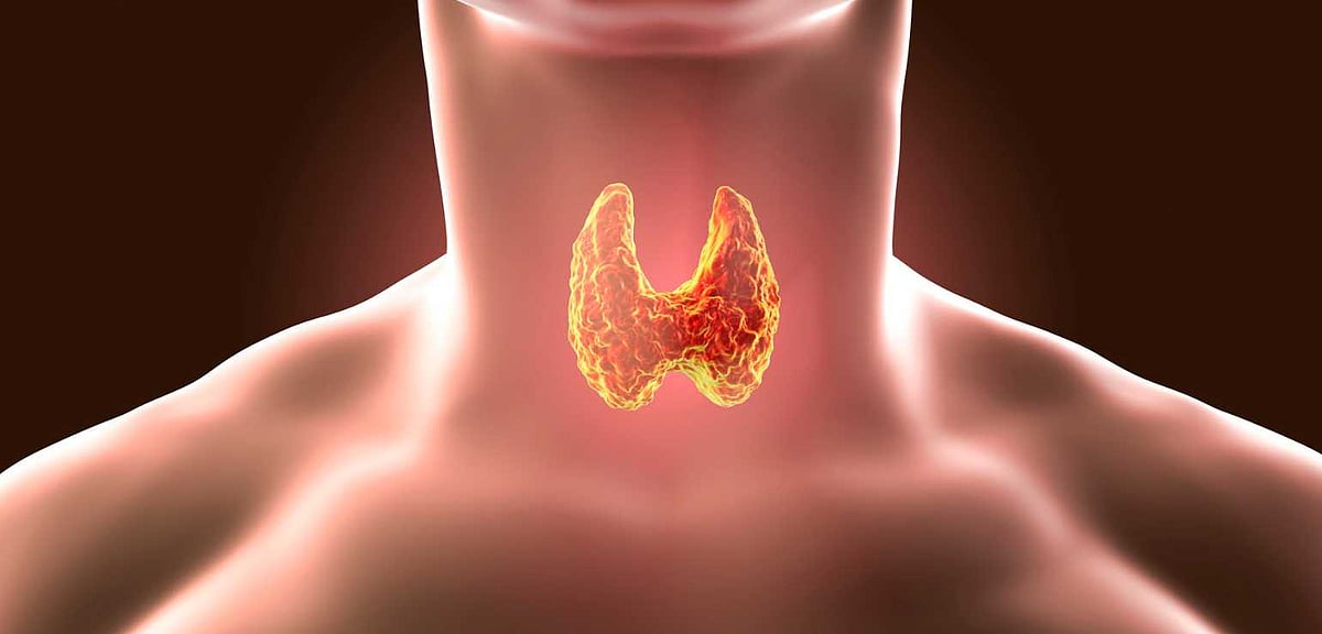 Thyroid Disorders In Children Need Early Attention, Say Experts On World Thyroid Day