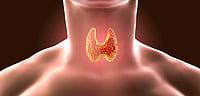 Thyroid Disorders In Children Need Early Attention, Say Experts On World Thyroid Day