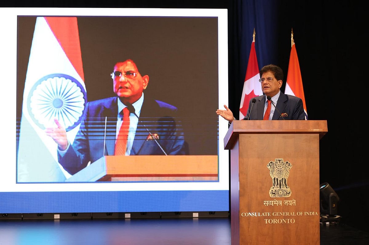null - Piyush Goyal