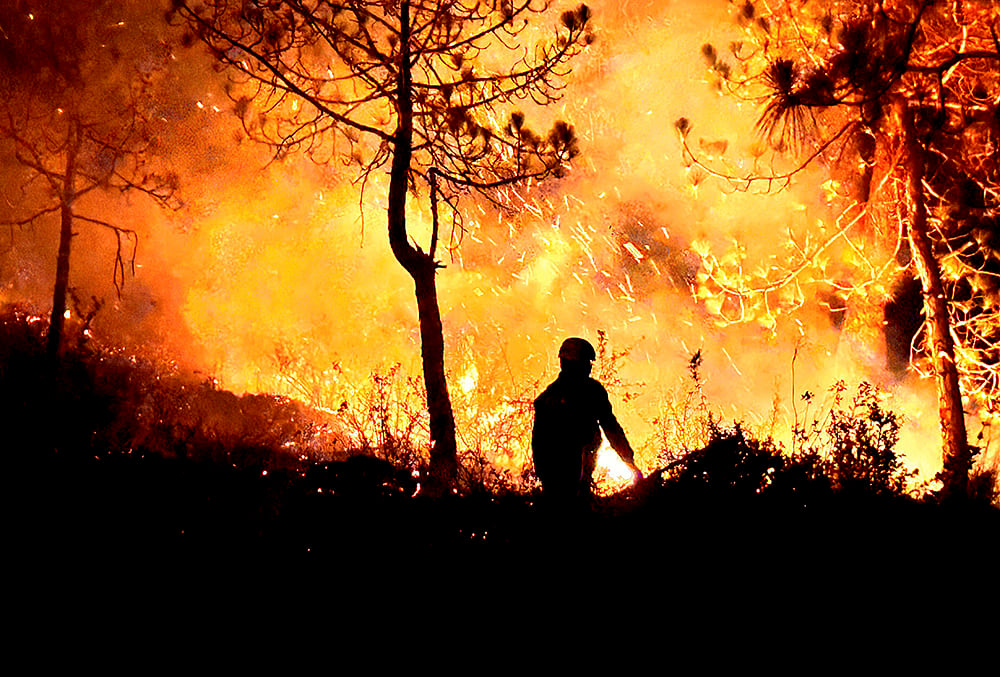 Forest fire in Almora