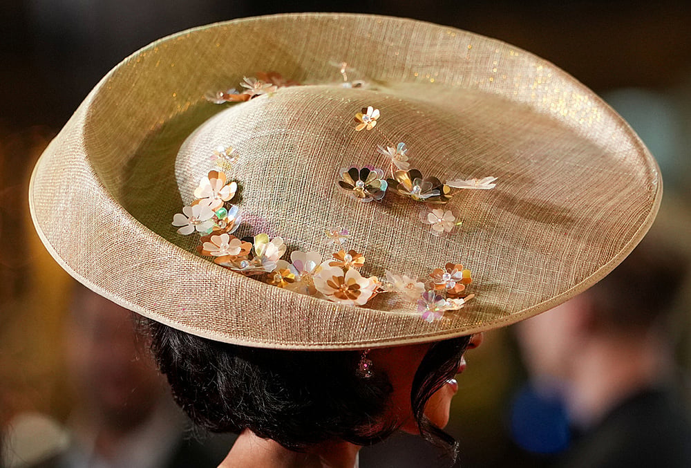 Cannes 2026 Playful fashion details light up the red carpet- premiere of the film Paper Tiger 