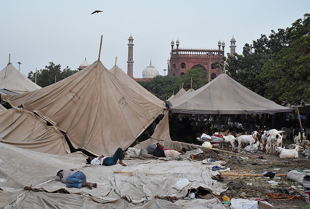 Eid-ul-Adha 2026
