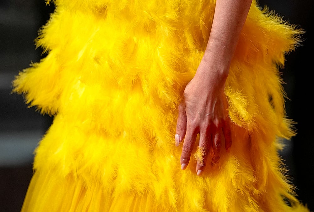 Cannes 2026 Playful fashion details light up the red carpet-premiere of the film Paper Tiger