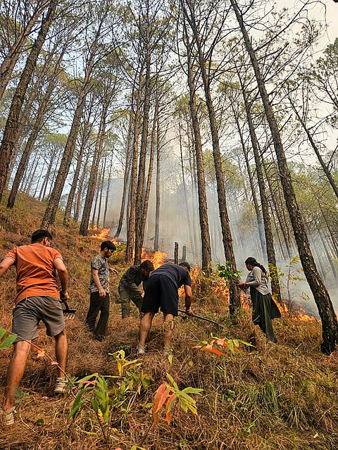 People try to control the blaze after a forest fire broke out near Pelang village in the Dasholi block, in Chamoli district, Uttarakhand.