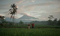 "Vaterland" or A Bule Named Yanto Review | A Smart, Playful Riff On Hybridity And Belonging Salaud Morisset : Still