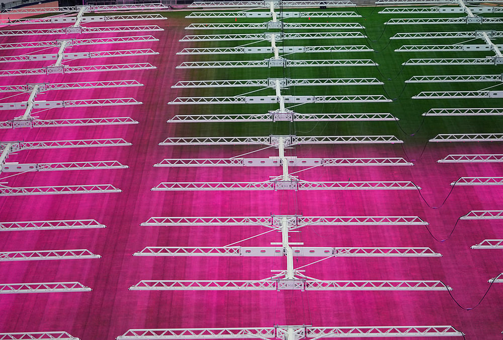 Grow lights illuminate part of the field at AT&T Stadium