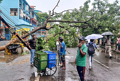 A tree lies uprooted after gusty winds and rainfall, in Ranchi, Jharkhand.