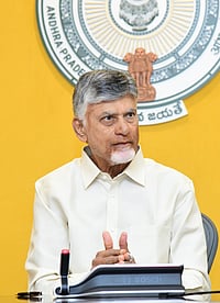 Chief Minister N Chandrababu Naidu