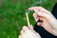 'Natural' Does Not Mean Safe: IIT-Gandhinagar Study Raises Red Flag Over Herbal Cigarettes