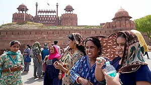 | Photo: PTI/Salman Ali : Delhi Lost Nearly Half Its Green Cover In A Decade As Heat Stress Engulfed Almost Entire City: Report