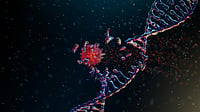 Pune Scientists Develop Nanomedicine That Switches Off Cancer-Survival Genes Pune Scientists Develop Nanomedicine That Switches Off Cancer-Survival Genes