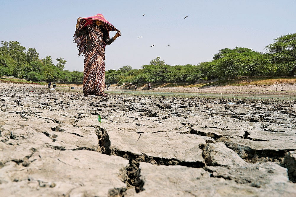 Sanjay Lake in east Delhi during the recent heat wave