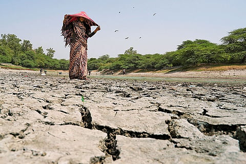 Cracked Earth: Sanjay Lake in east Delhi during the recent heat wave