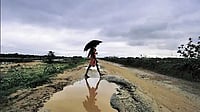 Monsoon Has Arrived In Keralam, Declares IMD Representative Image
