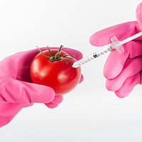 Rising Tide Of Unsafe Food, A Growing Public Health, Economic And Climate Crisis: WHO