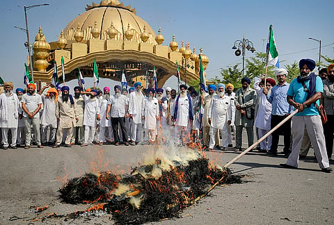 Members of Kisan Mazdoor Sangharsh Committee (KMSC) stage a protest against the shortage of urea fertiliser and black marketing, in Amritsar, Punjab.
