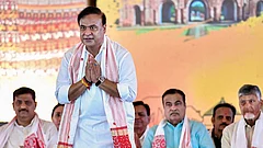 Why Did Himanta Biswa Sarma Invoke Paresh Baruah In Assam's Mural Row? - PTI ; Representative image