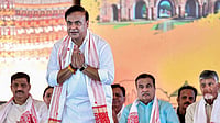 Assam CM Allocates Portfolios to 12 Newly Inducted Ministers PTI ; Representative image : Assam CM Allocates Portfolios to 12 Newly Inducted Ministers