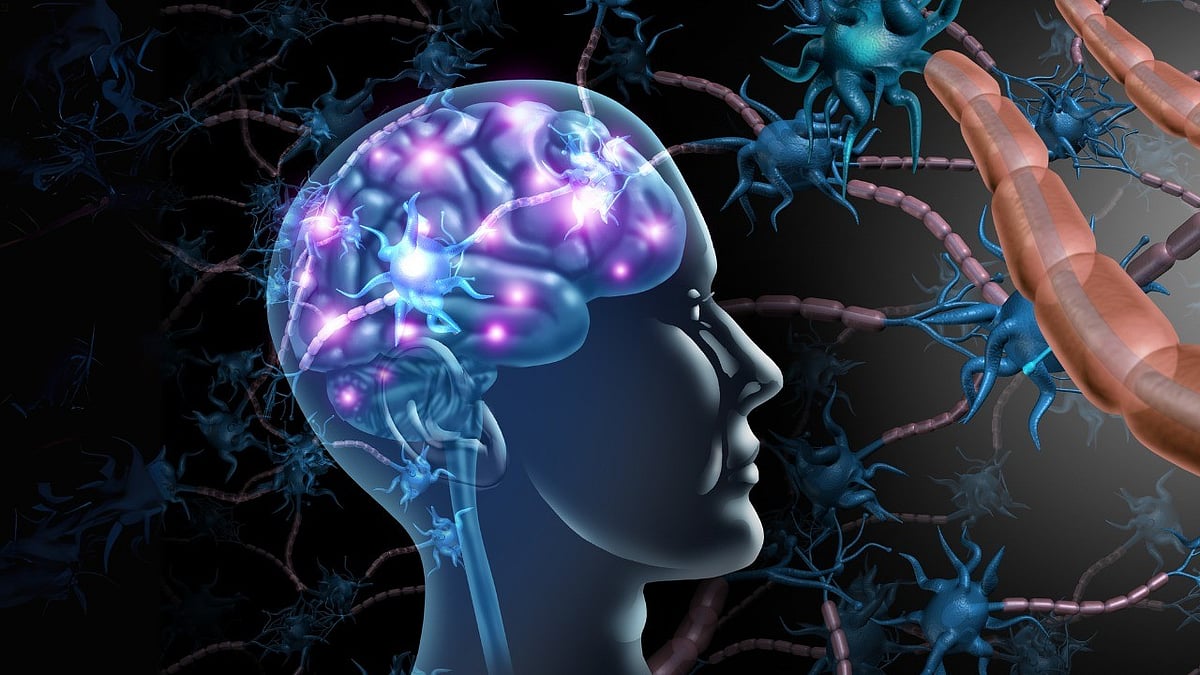 Brain Cells Acting as 'Disappointment Meter' May Help Design New Class of Drugs, Study Finds - null